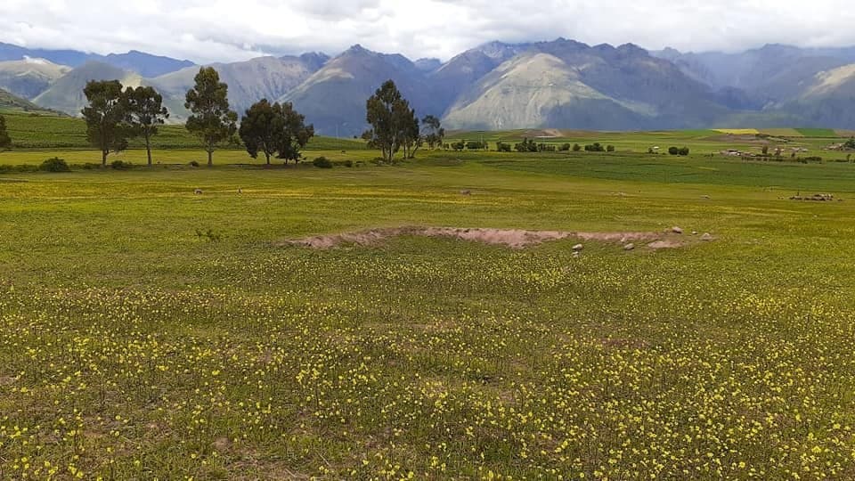 Terreno en Venta en Anccoto - 5 Hectáreas Cerca de las Ruinas de Moray